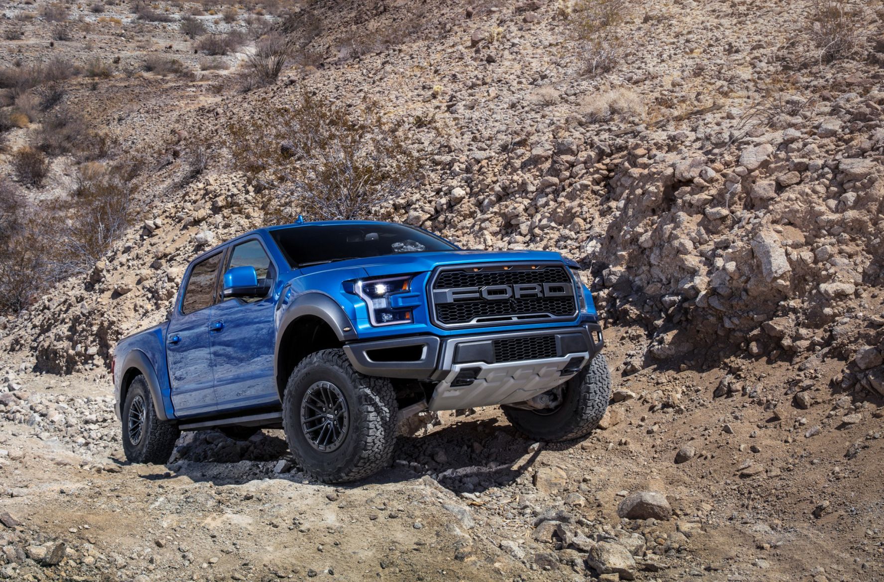 2019 Ford F-150 Raptor